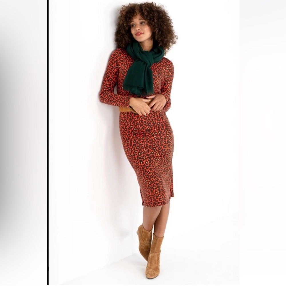 Kettlewell Ava Leopard Print Long Sleeve v-neck Dress
